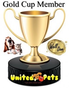 a gold cup member award